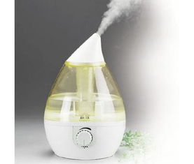 預(yù)包裝食品、家用電器、日用百貨及煙草批發(fā)零售業(yè)務(wù)解析